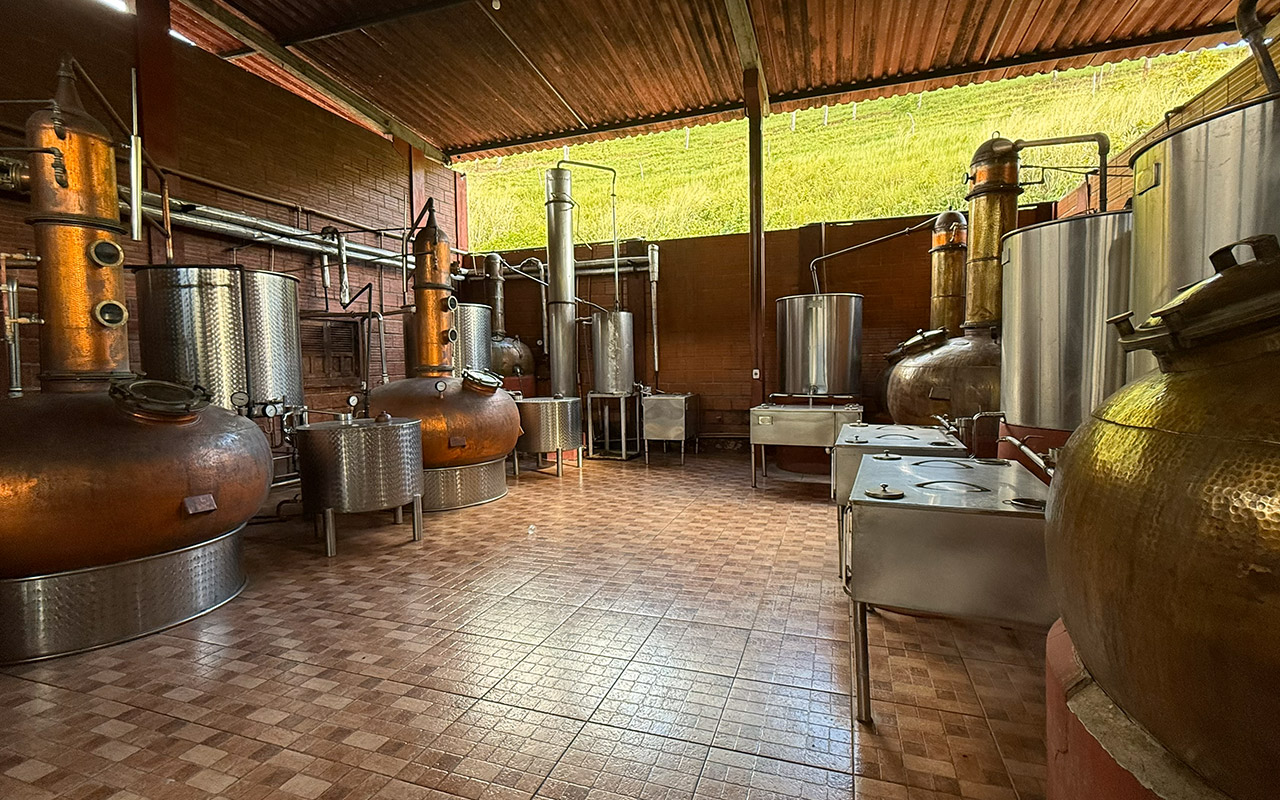 Eco Gastronomy Experience