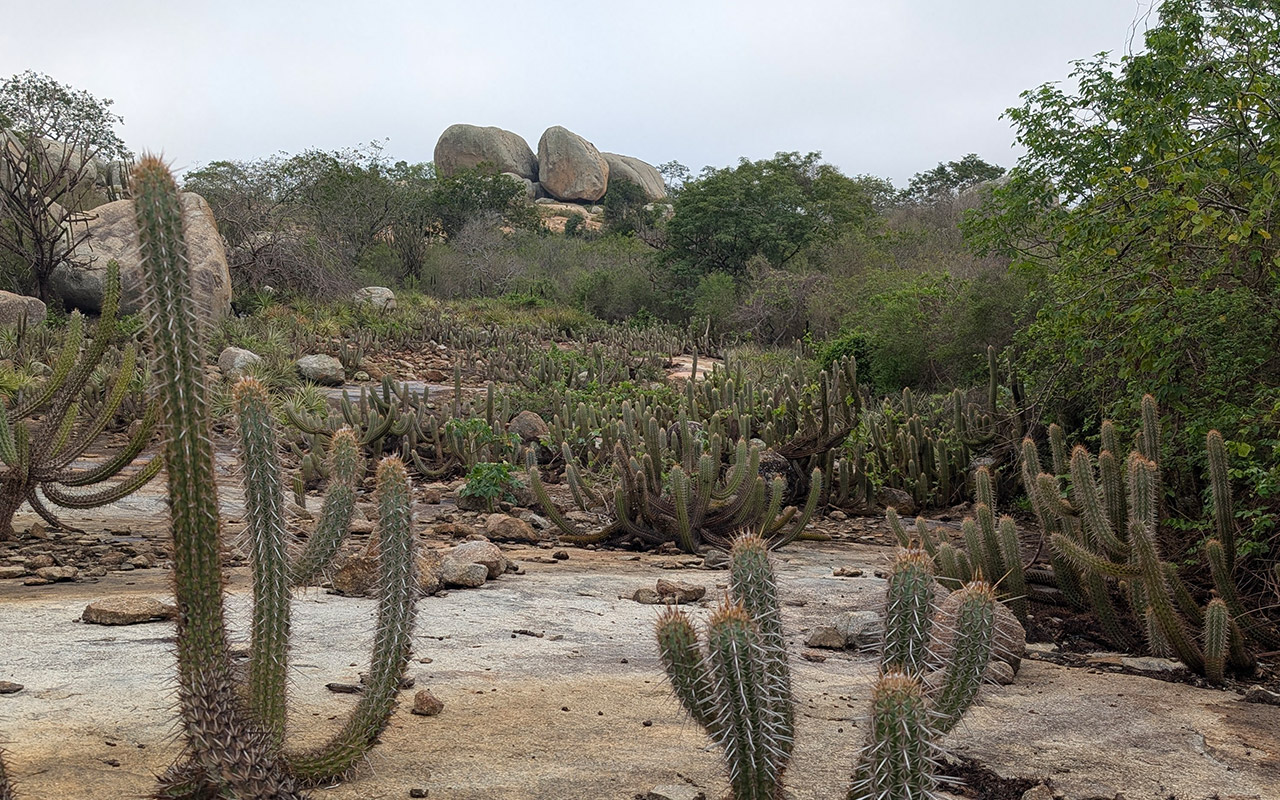 Eco Gastronomy Experience