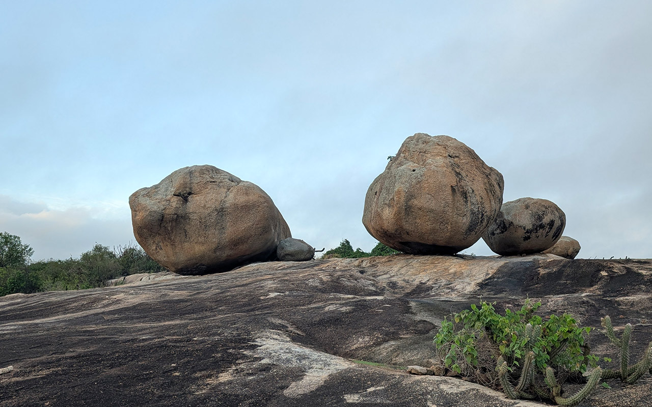 Eco Gastronomy Experience