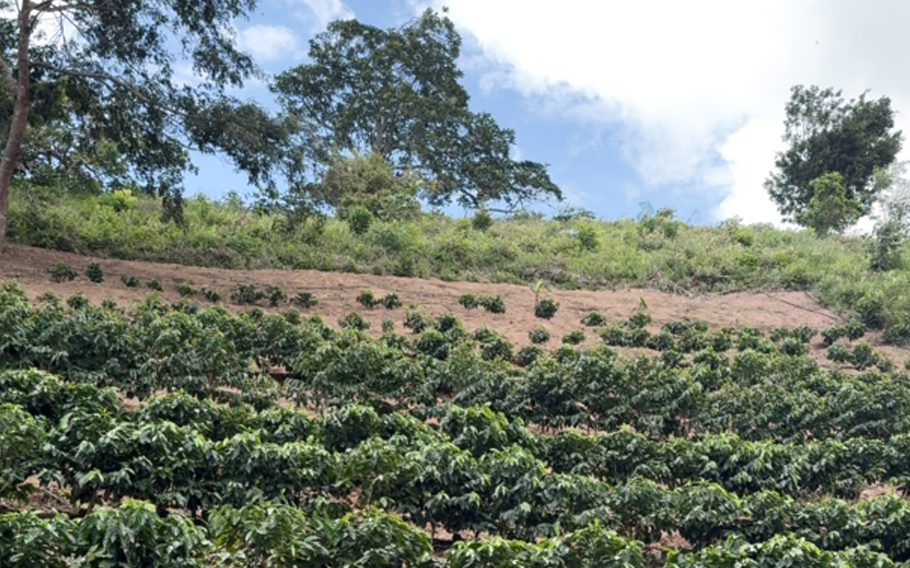 Eco Gastronomy Experience