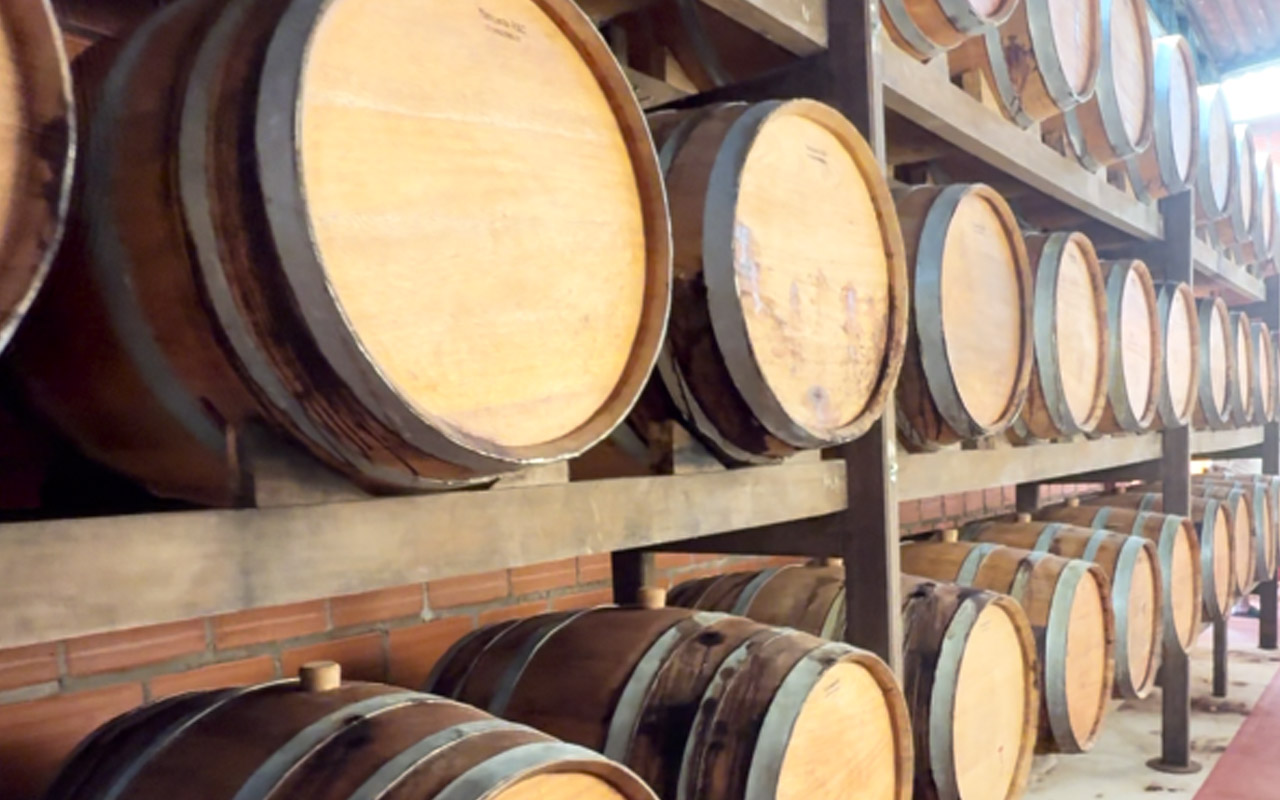 Eco Gastronomy Experience