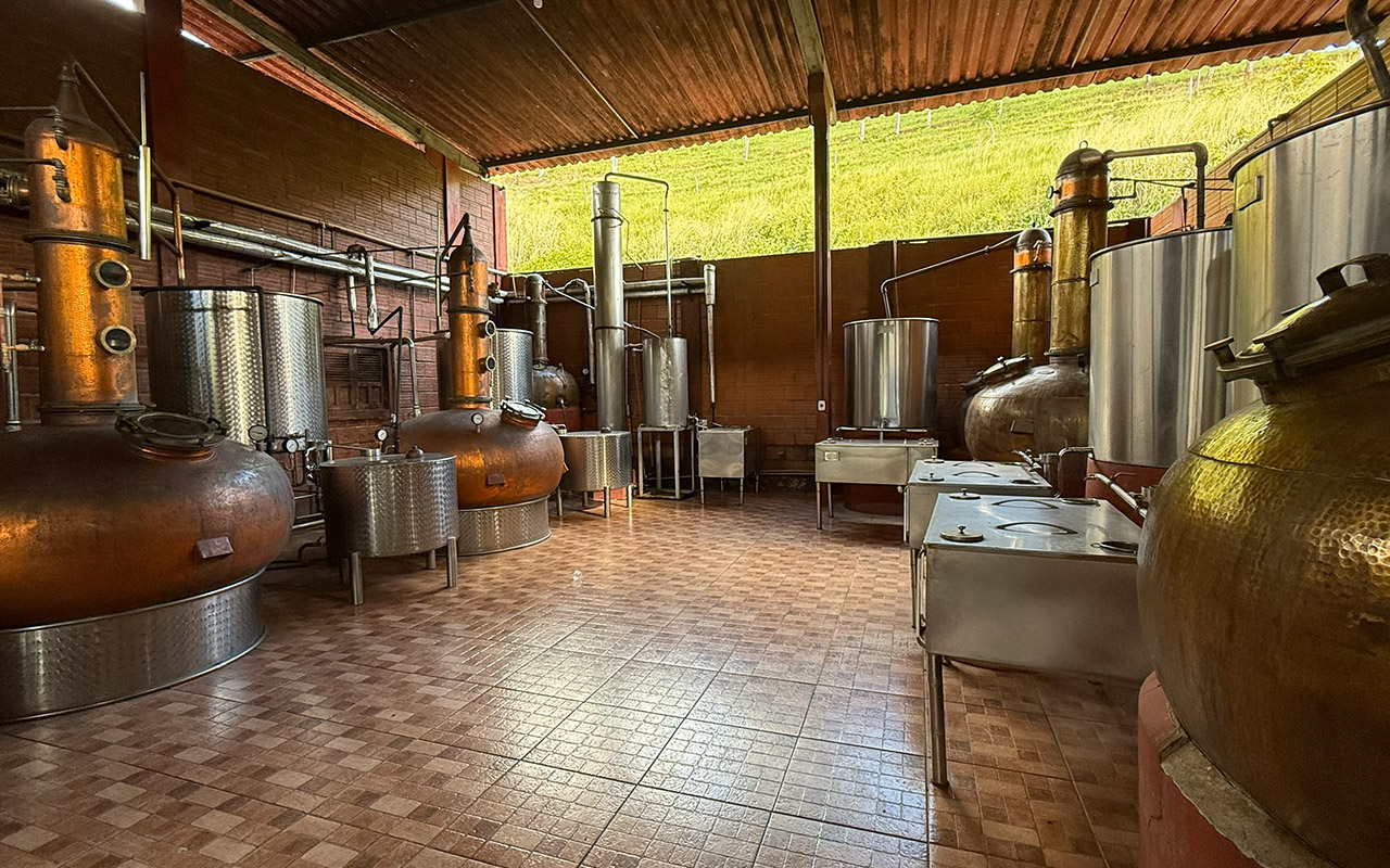 Eco Gastronomy Experience