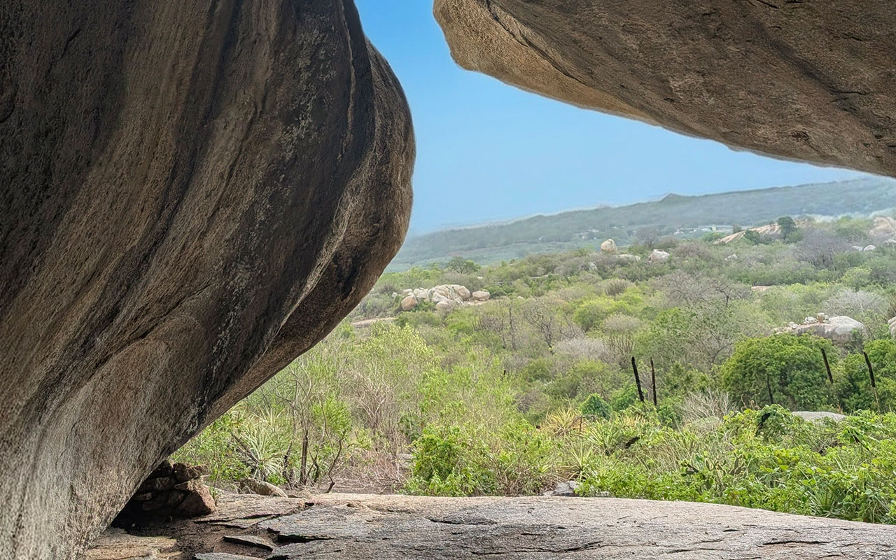 Eco Gastronomy Experience