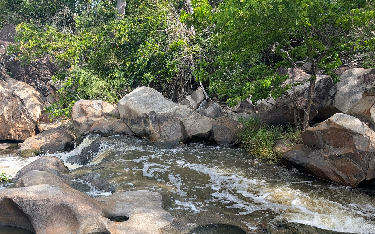 Eco Gastronomy Experience