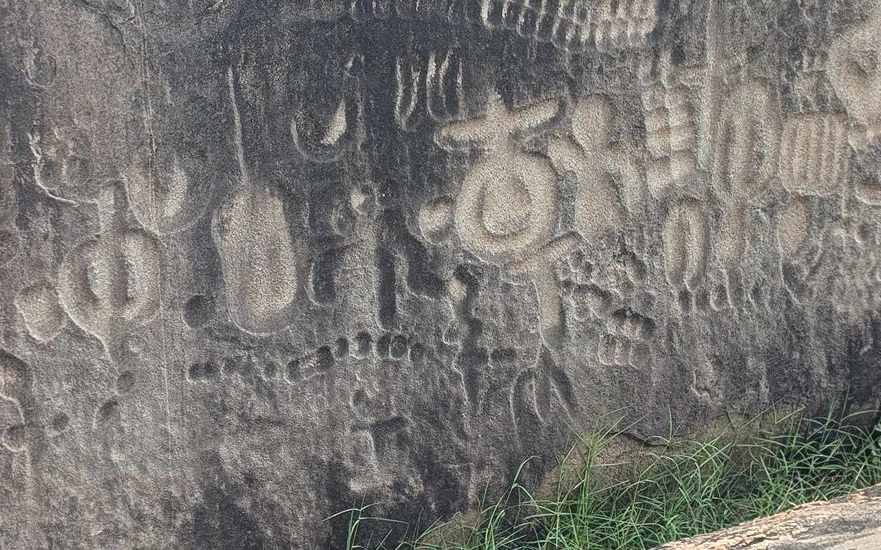 Eco Gastronomy Experience