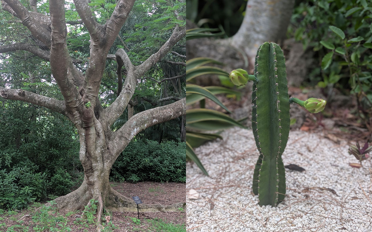 Eco Gastronomy Experience